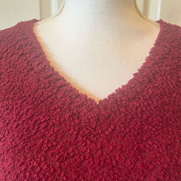 SANCTUARY V-Neck Soft Sweater - Garnet - Picture 2 of 10